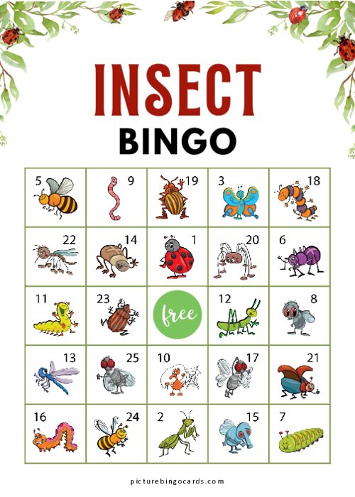 Insect Bingo