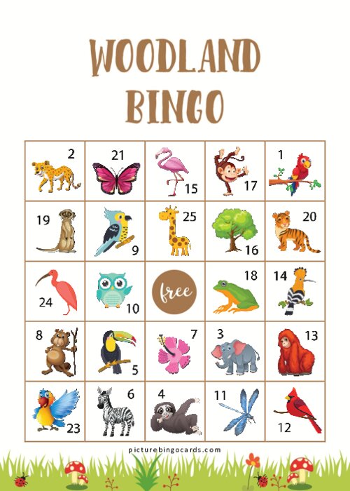 Woodland Bingo