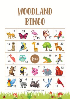 Printable Woodland Bingo